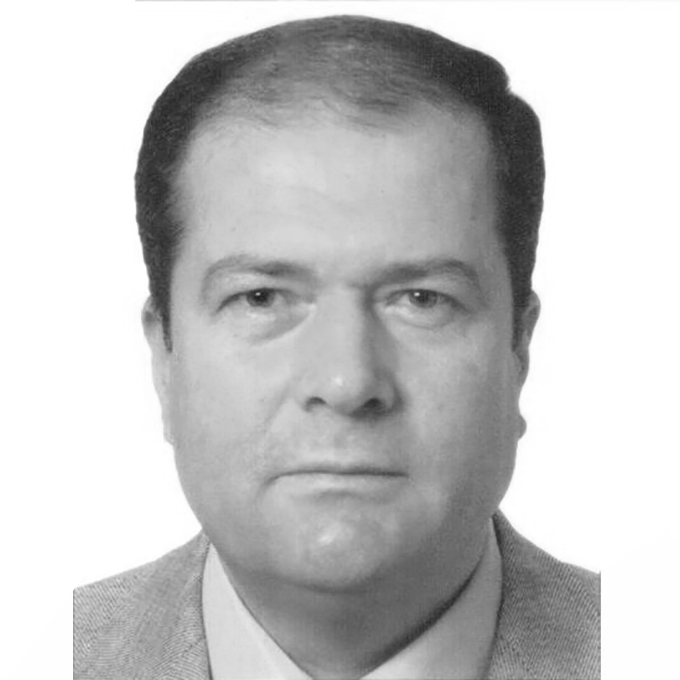 Mali İşler Danışmanı